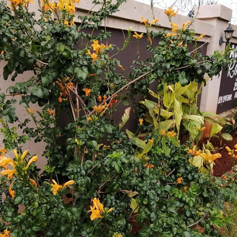 Royal Lodge ويتبانك المظهر الخارجي الصورة
